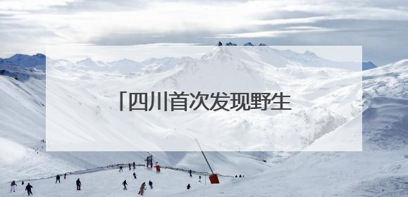 四川首次发现野生朱鹮夏季栖息行为
