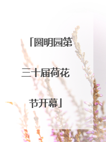 圆明园第三十届荷花节开幕