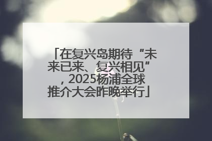 在复兴岛期待“未来已来、复兴相见”，2025杨浦全球推介大会昨晚举行