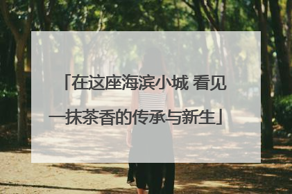 在这座海滨小城 看见一抹茶香的传承与新生