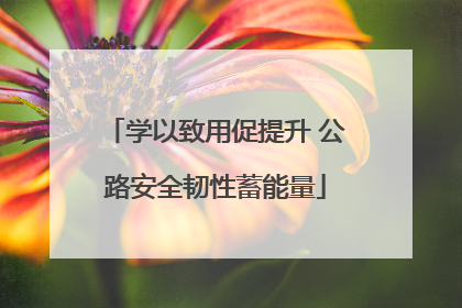 学以致用促提升 公路安全韧性蓄能量