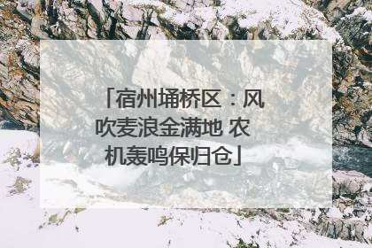 宿州埇桥区：风吹麦浪金满地 农机轰鸣保归仓