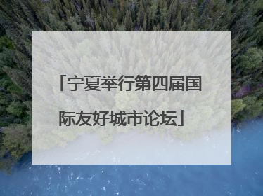 宁夏举行第四届国际友好城市论坛