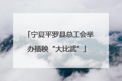 宁夏平罗县总工会举办插秧“大比武”
