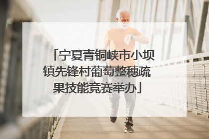 宁夏青铜峡市小坝镇先锋村葡萄整穗疏果技能竞赛举办