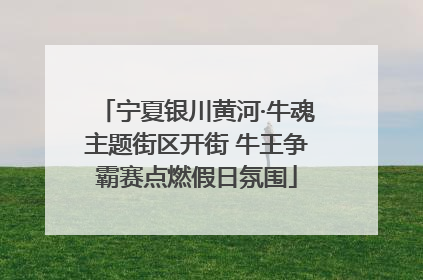 宁夏银川黄河·牛魂主题街区开街 牛王争霸赛点燃假日氛围