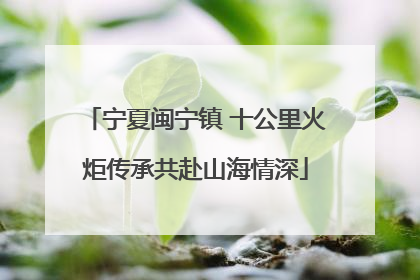 宁夏闽宁镇 十公里火炬传承共赴山海情深
