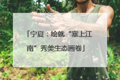 宁夏：绘就“塞上江南”秀美生态画卷