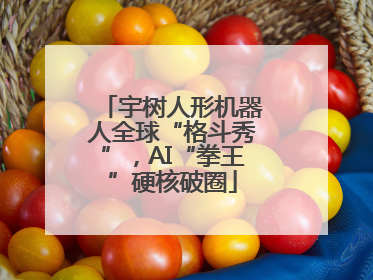 宇树人形机器人全球“格斗秀”，AI“拳王”硬核破圈