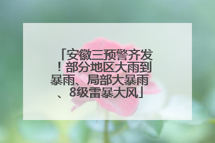 安徽三预警齐发！部分地区大雨到暴雨、局部大暴雨、8级雷暴大风