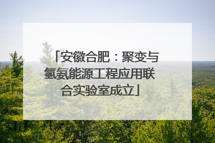 安徽合肥：聚变与氢氨能源工程应用联合实验室成立