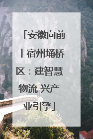 安徽向前丨宿州埇桥区：建智慧物流 兴产业引擎