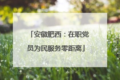 安徽肥西：在职党员为民服务零距离