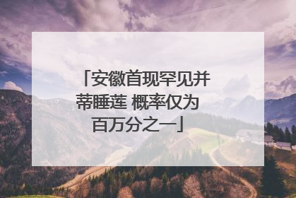 安徽首现罕见并蒂睡莲 概率仅为百万分之一