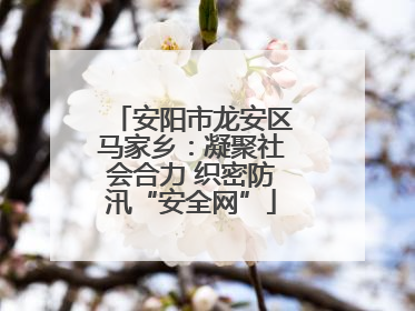 安阳市龙安区马家乡：凝聚社会合力 织密防汛“安全网”