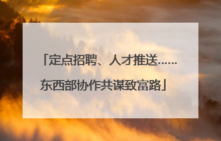 定点招聘、人才推送……东西部协作共谋致富路