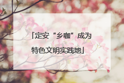 定安“乡咖”成为特色文明实践地