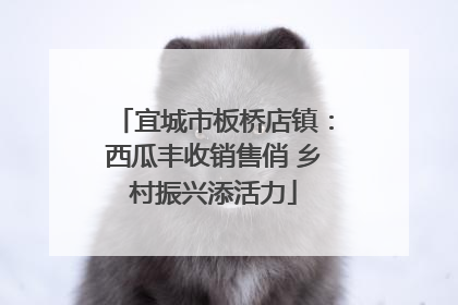 宜城市板桥店镇：西瓜丰收销售俏 乡村振兴添活力