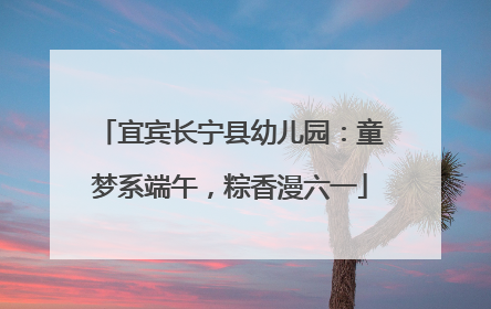 宜宾长宁县幼儿园：童梦系端午，粽香漫六一