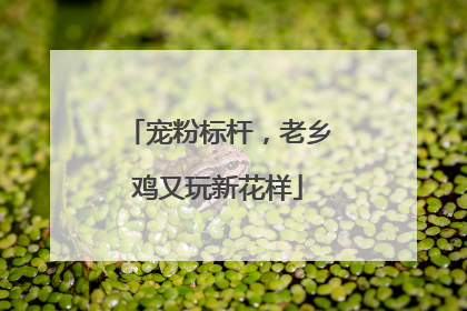 宠粉标杆，老乡鸡又玩新花样