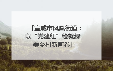 宣威市凤凰街道：以“党建红”绘就绿美乡村新画卷