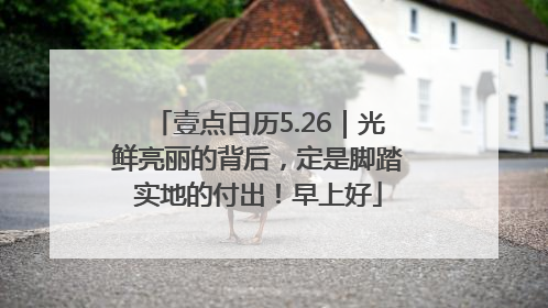 壹点日历5.26｜光鲜亮丽的背后，定是脚踏实地的付出！早上好