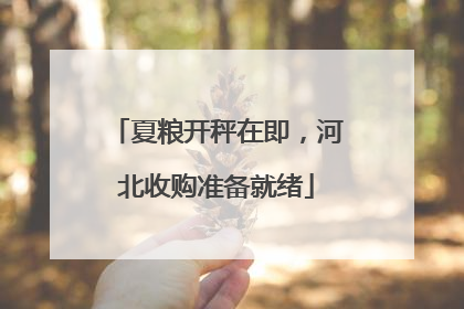 夏粮开秤在即，河北收购准备就绪