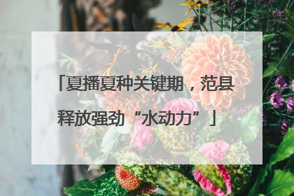 夏播夏种关键期，范县释放强劲“水动力”