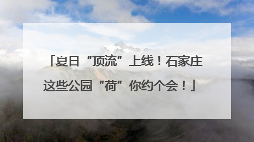 夏日“顶流”上线！石家庄这些公园“荷”你约个会！
