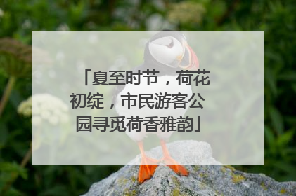 夏至时节，荷花初绽，市民游客公园寻觅荷香雅韵