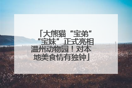 大熊猫“宝弟”“宝妹”正式亮相温州动物园！对本地美食情有独钟