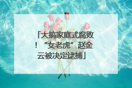 大搞家庭式腐败！“女老虎”赵金云被决定逮捕