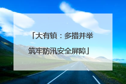 大有镇：多措并举筑牢防汛安全屏障