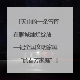 天山的一朵雪莲在聊城灿烂绽放——记全国文明家庭“詹春芳家庭”