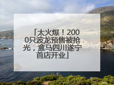 太火爆！2000只波龙预售被抢光，盒马四川遂宁首店开业