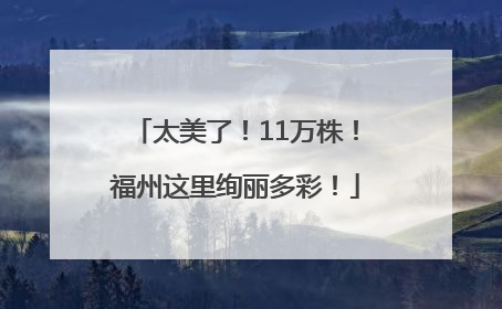 太美了！11万株！福州这里绚丽多彩！