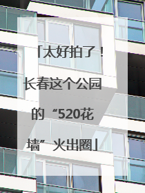 太好拍了！长春这个公园的“520花墙”火出圈
