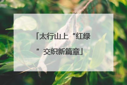 太行山上“红绿”交织新篇章