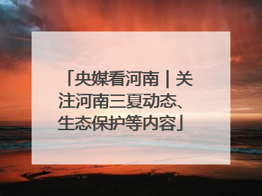 央媒看河南｜关注河南三夏动态、生态保护等内容