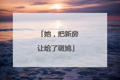 她，把新房让给了斑鸠