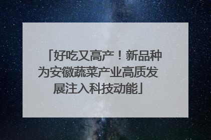 好吃又高产！新品种为安徽蔬菜产业高质发展注入科技动能