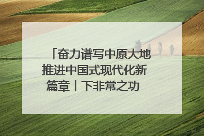 奋力谱写中原大地推进中国式现代化新篇章丨下非常之功 战非常“三夏”