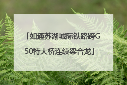 如通苏湖城际铁路跨G50特大桥连续梁合龙