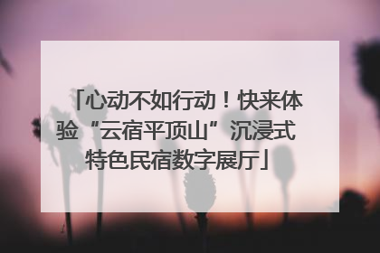 心动不如行动！快来体验“云宿平顶山”沉浸式特色民宿数字展厅