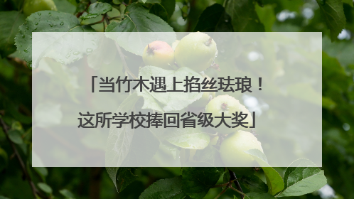 当竹木遇上掐丝珐琅！这所学校捧回省级大奖