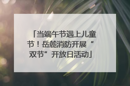 当端午节遇上儿童节！岳麓消防开展“双节”开放日活动
