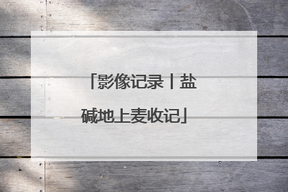 影像记录丨盐碱地上麦收记