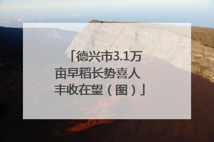 德兴市3.1万亩早稻长势喜人 丰收在望（图）