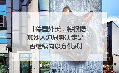 德国外长：将根据加沙人道局势决定是否继续向以方供武