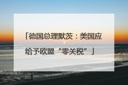 德国总理默茨：美国应给予欧盟“零关税”